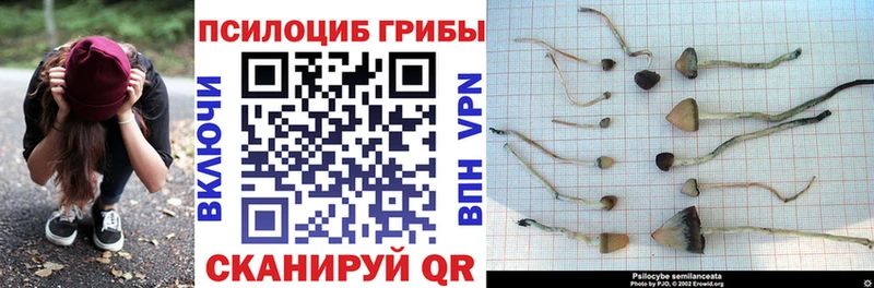 Галлюциногенные грибы прущие грибы Сердобск