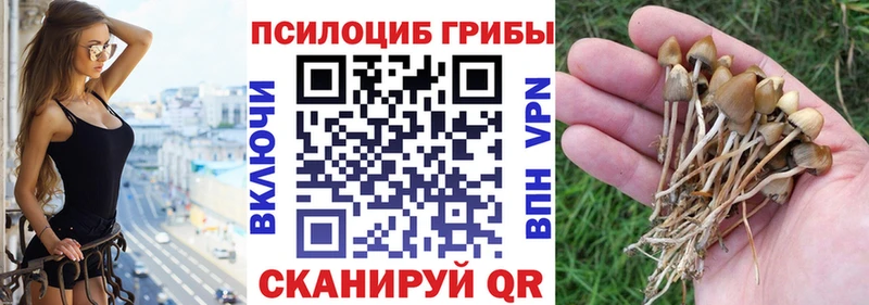 MEGA зеркало  сколько стоит  Сердобск  Галлюциногенные грибы MAGIC MUSHROOMS 